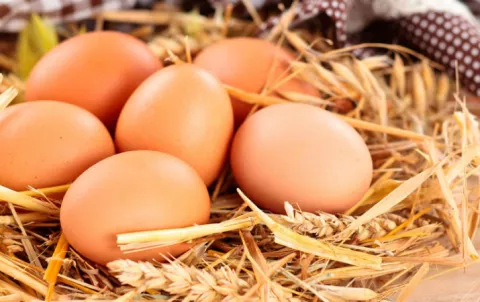 Las cualidades nutritivas de un excelente alimento protéico