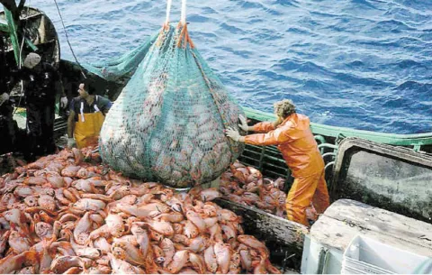 FAO pide a Latinoamérica que blinde sus puertos a la pesca ilegal