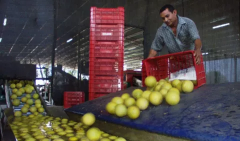   Panamá requiere tribunal aduanero