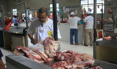   Más de 60 millones de kilos de carne producidos