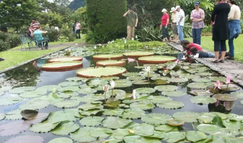 Turismo verde en el país,  una apuesta para  doblar  cifra de turistas  