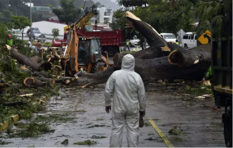 Familiares del niño que murió, tras la caída del árbol, demandarán por negligencia al Estado