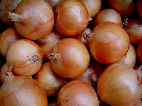 Compra de quintales de cebolla es visto como un 'parche'