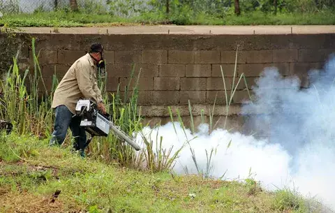 Reportan casos de malaria y gastroenteritis en Herrera