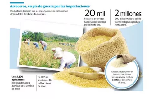 Importaciones ponen en riesgo producción de arroz  