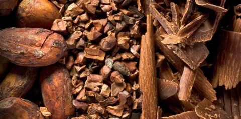 Estos son los beneficios del cacao para una vida saludable