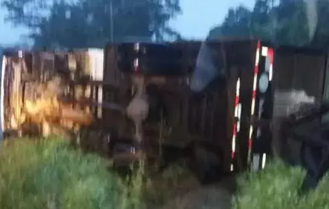 Camión se vuelca y deja cuatro heridos en Bocas del Toro 