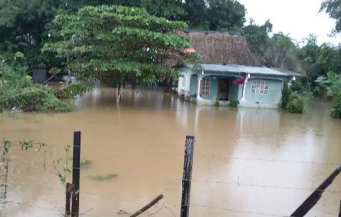 Pérdidas en el sector ganadero por mal tiempo en Mariato 