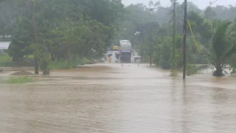 Otto genera pérdida de dinero en la construcción