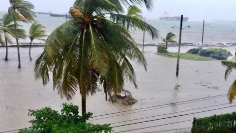 Decretan alerta amarilla; los vientos alcanzarán 80 kmph
