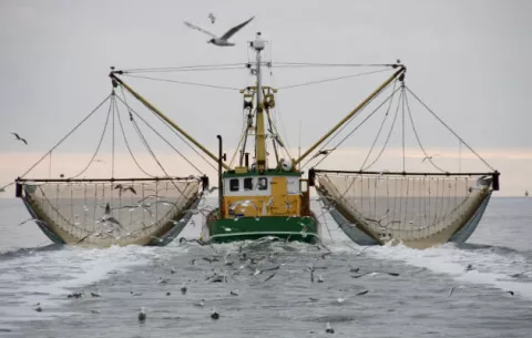 AMP levanta restricción para embarcaciones en el Atlántico