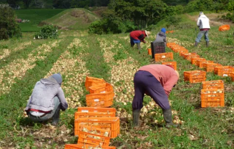 Invertirán 11,6 millones de dólares en investigación agropecuaria