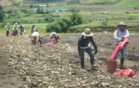 Productores decidirán está tarde si continúan con el Diálogo por el Agro