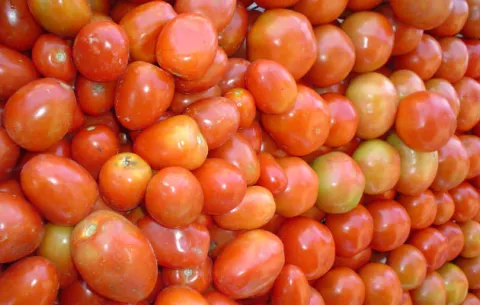 Denuncian el nivel excesivo de pesticidas en los alimentos