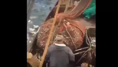 #Viral Estos rusos pescaron una sorpresa
