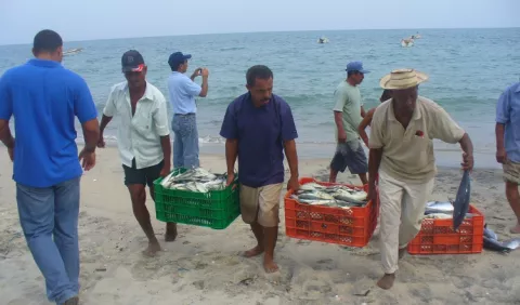 Disminuye   producción de peces en un 9.3% y la  venta    en un  19.3% 