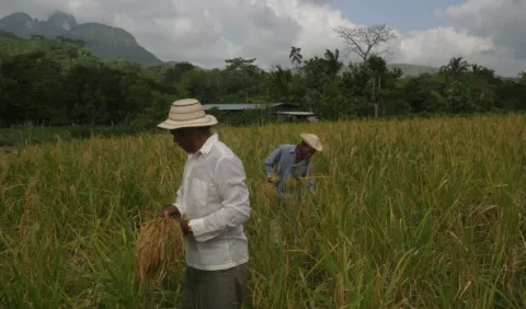 Piden declarar al agro en 'estado de emergencia'