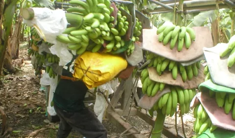 Productores  piden ser parte de negociación