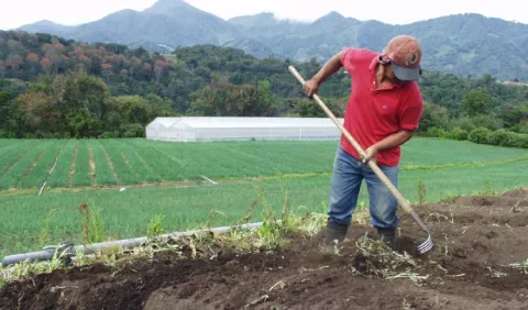 Desaceleración  impacta en el crecimiento de Panamá