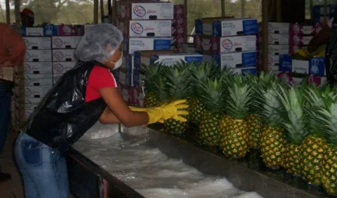 Estudian modelo de Costa Rica 