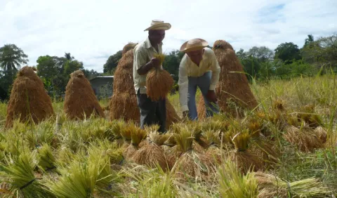 Presidente  se empeña en ignorar a los productores  