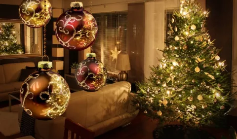 El árbol y sus ornamentos