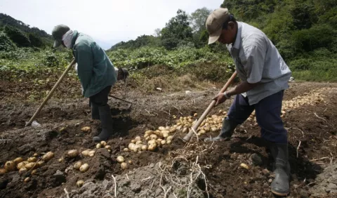 El 2016 ha sido un año muy  'difícil' para el sector agropecuario