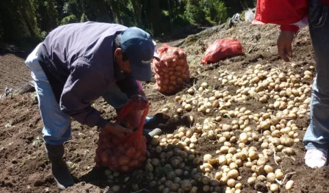 Legislativo se compromete a proteger al agro 