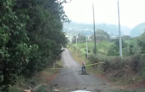 Fallece indígena en Boquete al caerle un árbol 