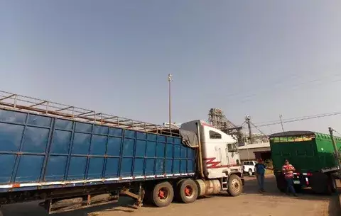 Arroceros santeños sin capacidad de almacenar el grano