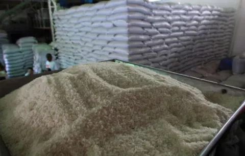Importación desmedida de arroz es un 'crimen'