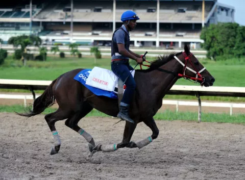 Jinete Luis Arango sale a Puerto Rico el viernes