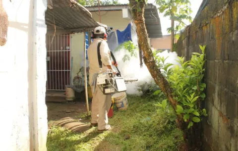 Aumentan los casos de dengue clásico en Chiriquí 