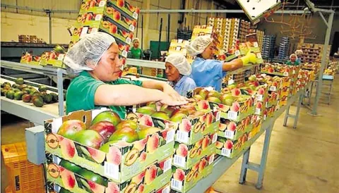 Representantes de Aduana de 25 países se reúnen en Panamá
