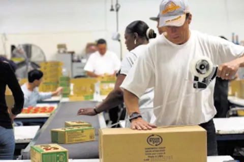 Falta de políticas públicas afecta a la manufactura 