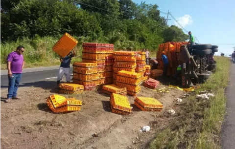 Mueren miles de pollos por vuelco en Las Guías de Antón