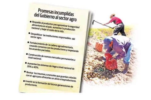 Productores ya perdieron la fe en las autoridades  