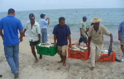 Implementarán Plan Nacional de acción para la Pesca Sostenible