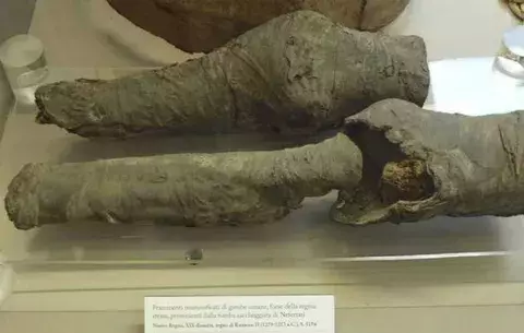 Arqueólogos atribuyen unas piernas momificadas a la reina Nefertari