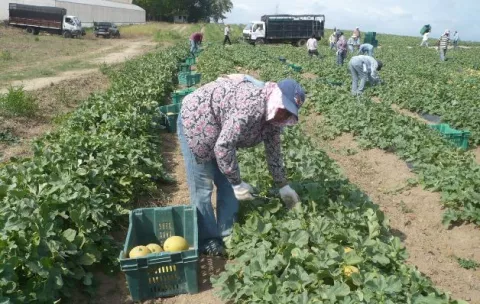 Anagan pide 'políticas claras' y se solidariza con los productores  