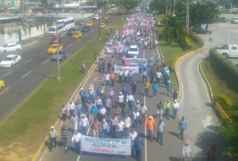 Productores de arroz exigen hoy al gobierno que reconozca error 