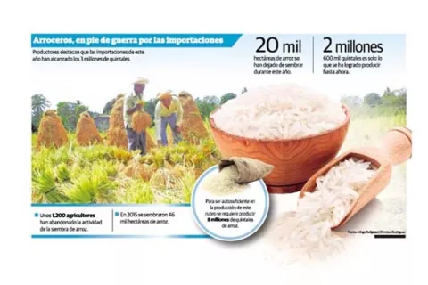 Producción de arroz  peligra por 'Otto' y las importaciones