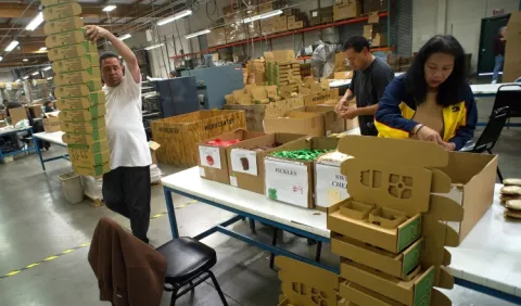 Industria manufacturera   sigue afectada por falta de políticas públicas