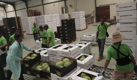 Exportaciones panameñas disminuyen más de un   30%
