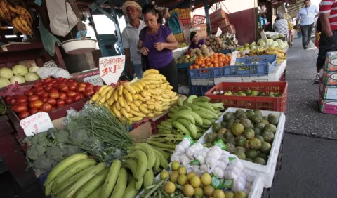 Comerciantes claman por la Cadena de Frío