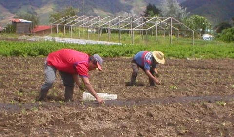 Economía  del país está   desintegrada