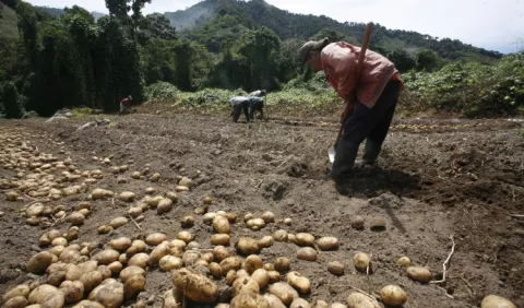 Buscan revivir el sector primario