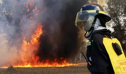 Bombero pierde la vida en fuego forestal