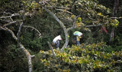 Productores de Costa Rica reciben ayuda 