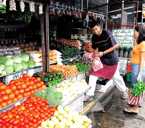 Toneladas de producto agrícola se pierden por falta de tecnología